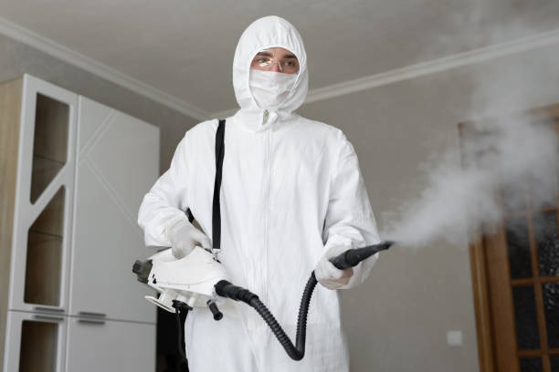 Best Mold Remediation for Rental Properties  in USA